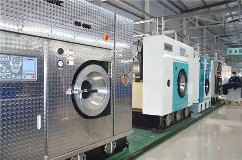 走进三毛洗衣工厂,了解洗衣常识
